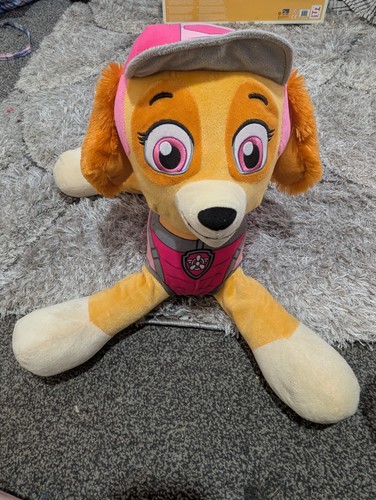 Nickelodeon paw patrol - paw, sky