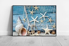 Maritime Souvenirs Seashells