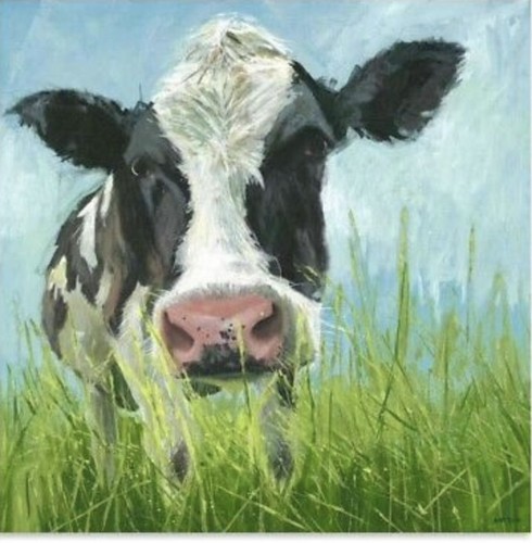 Curious cow canvas print wall - curious,