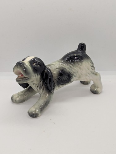 Goebel cocker spaniel puppy - spaniel,