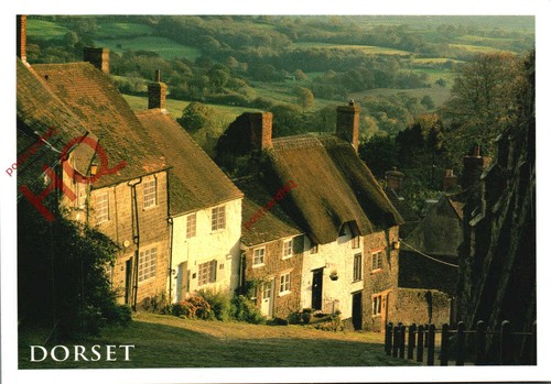 Picture postcard shaftesbury - picture, postcard>>shaftesbury