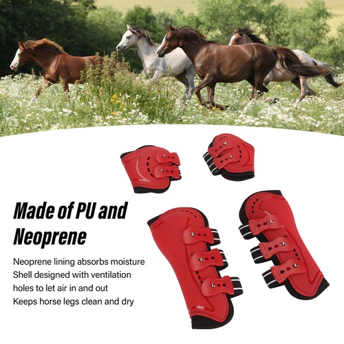 Horse sport boots - sport,
