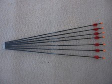 Easton ACE arrows 