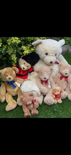 Hamleys teddy bears - teddy,
