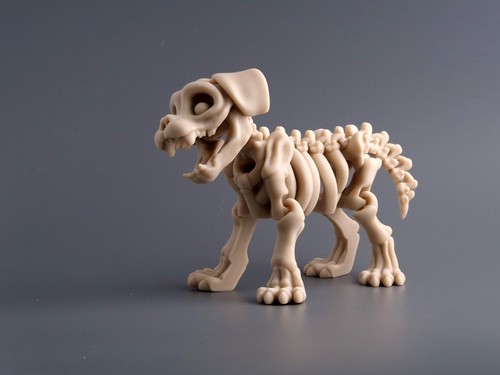 Articulated animal skeleton - animal,