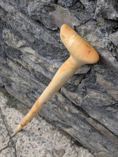 Beautiful Birch Shillelagh