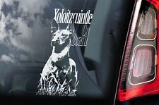 Xoloitzcuintle Sticker, Car