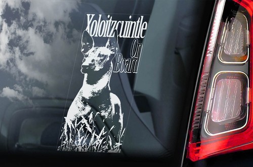 Xoloitzcuintle sticker car - xoloitzcuintle,