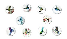 HUMMINGBIRD Glass Magnet Set - 10pc Handmade Decorative Memo Board Refrigerator