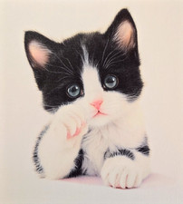 Beautiful Black and White