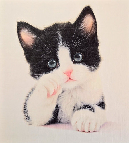 Beautiful black and white - beautiful,