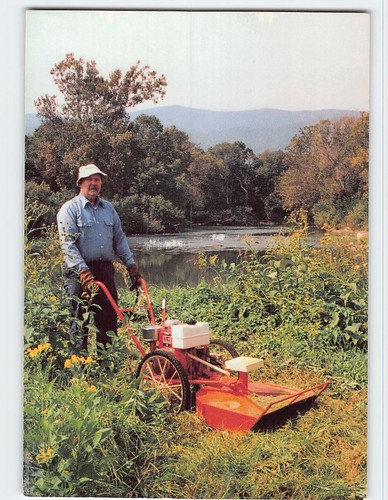 Postcard field bush - postcard,