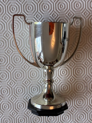 Small silver trophy cup