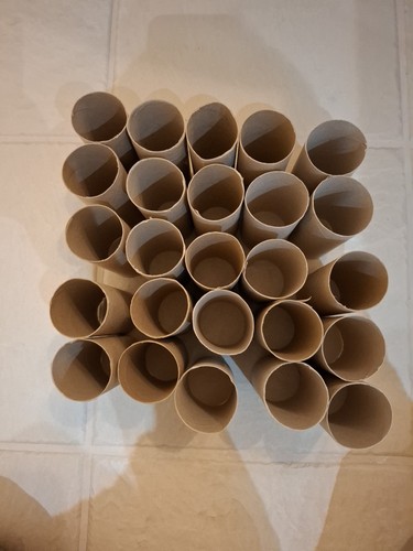 Empty toilet roll tubes - toilet,