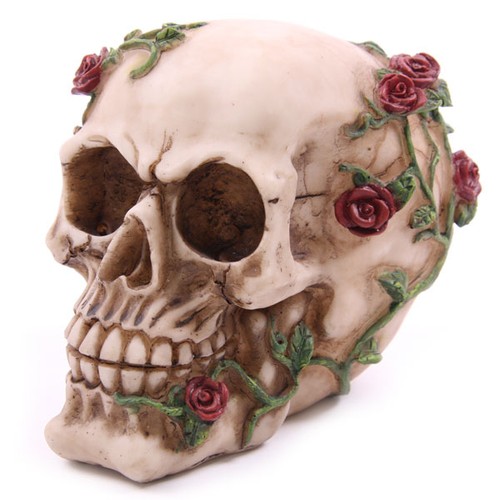 Skull with roses home - skull,
