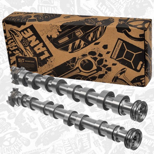 Camshaft kit peugeot - camshaft,