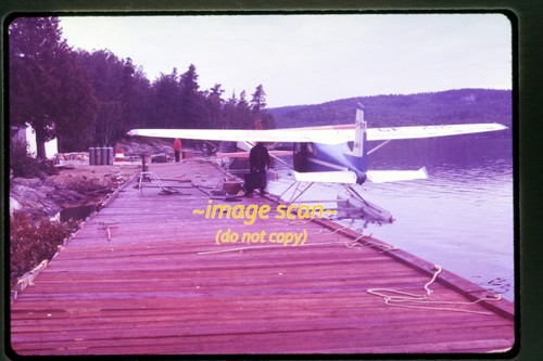 Bush float airplane aircraft - float,