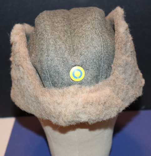 Swedish army hat ww2 - swedish,