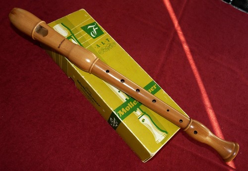 Beginner mollenhauer alto - 21,