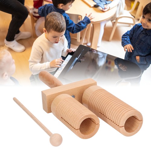 Percussion wooden guiro - percussion,
