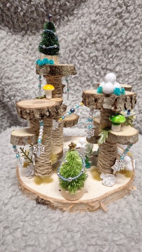 Jumping spider climbing - , ledge