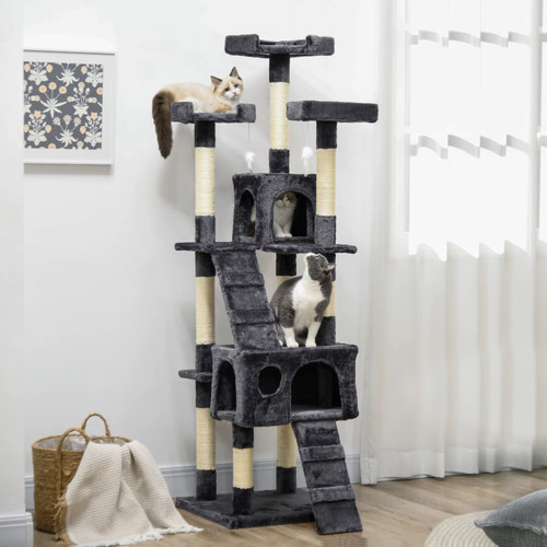 173cm large cat - large, tree