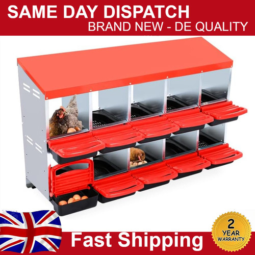 Compartment chicken nesting - compartment,