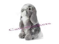 Sitting Grey Lop Eared Rabbit