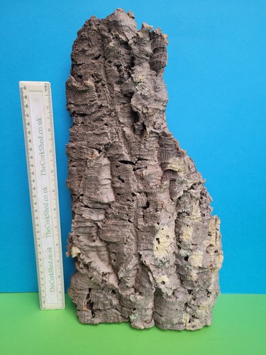 Cork bark flats basking - bark,