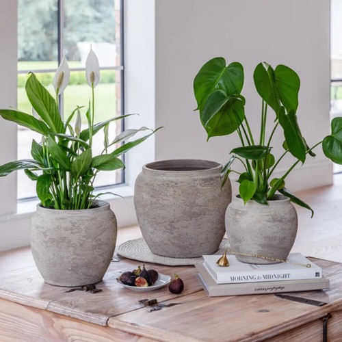 Rustic ceramic plant pot - rustic,
