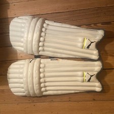 Puma Cricket Evo speed 6