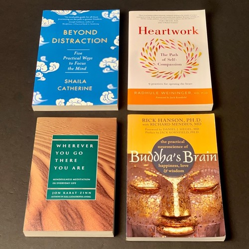 Mindfulness meditation lot - meditation,