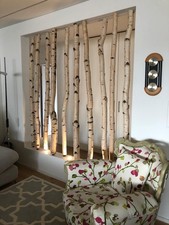 Silver Birch Custom Wall Room Divider home decor  