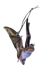 Bechstein's Bat Christmas Tree