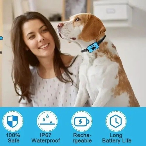 Anti bark collar - bark, dog