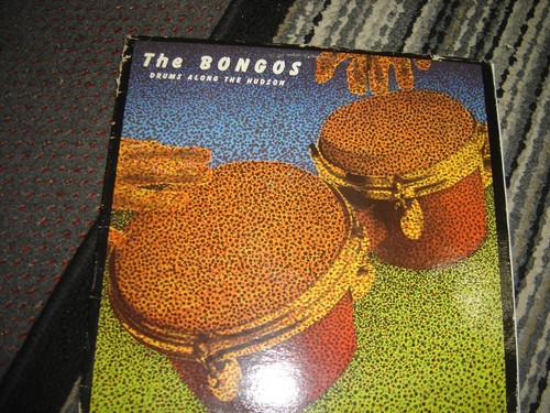 The bongos drums - the,