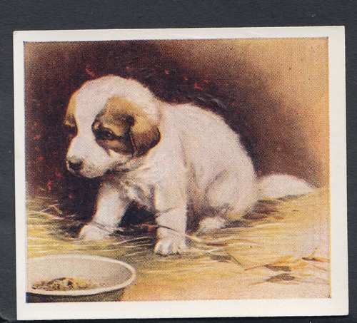 Godfrey phillips cigarette - godfrey,
