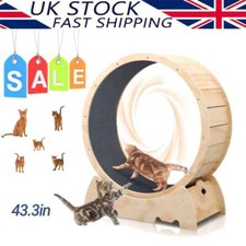 Large Cat Exercise Wheel Cat