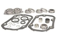 Fits INA 462 0195 10 Repair