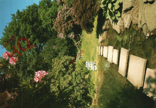 Picture postcard kent - picture, postcard-