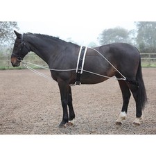 Shires Lunging Aid - One Size