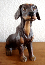 Black and Tan Coon Hound Dog