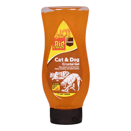 The big cheese cat - the,