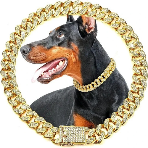 Luxury gold dog chain - luxury,