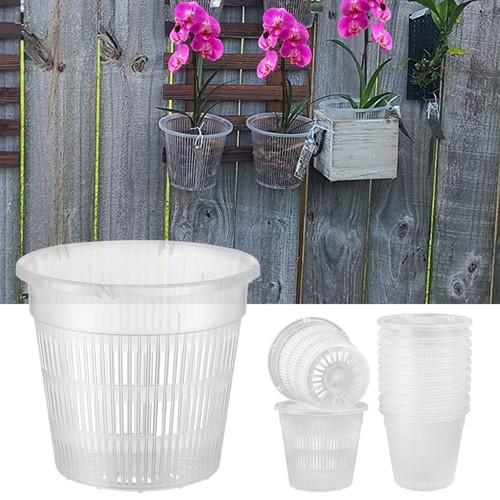 19cm clear orchid - clear,