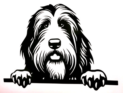 Bearded collie dog decal - bearded,