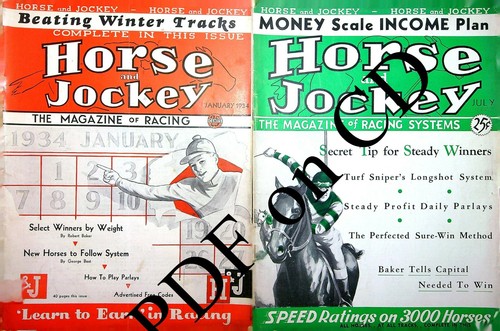 Horse and jockey the - horse,