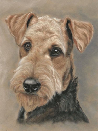 Original airedale terrier art - airedale,