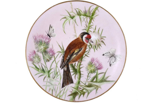 C1870 british bodley - british,
