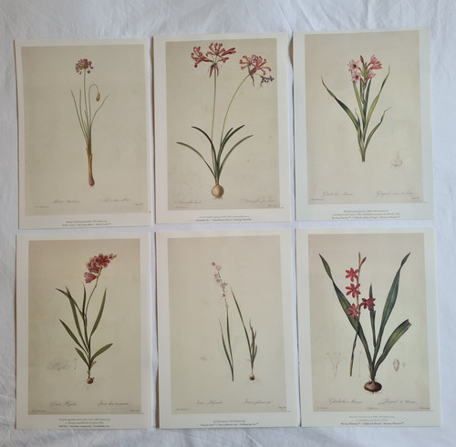 Beautiful set 6 - of,